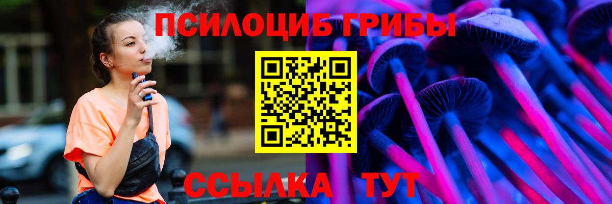 Галлюциногенные грибы Psilocybine cubensis Урус-Мартан